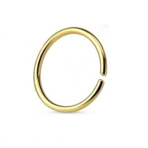 ARO NARIZ 10MM ORO